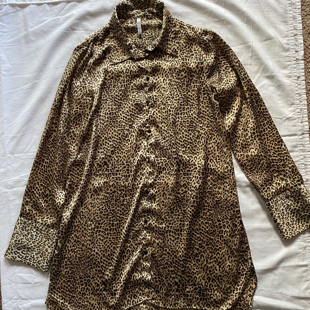 Zara Cheetah Print Long Sleeve Blouse